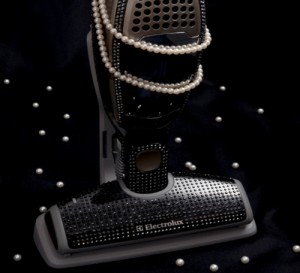 crystal-ergoripado-vacuum-cleaner