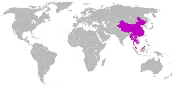 mandarin-language1