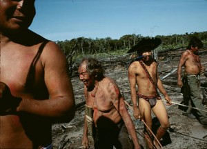 The amazons