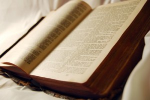 bible