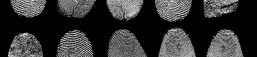 fingerprints
