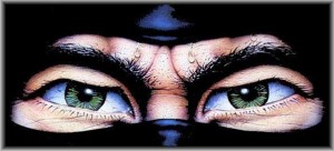 top-10-Misconceptions-about-Ninja