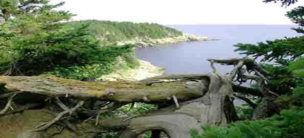 Cape Breton Island (Canada)