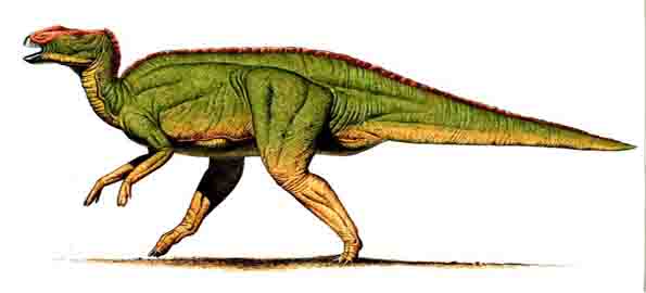 Hadrosaurus (1858)