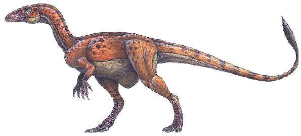Sinosauropteryx (1877)