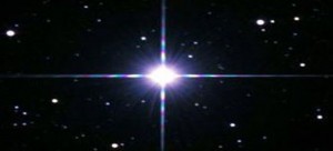 Procyon