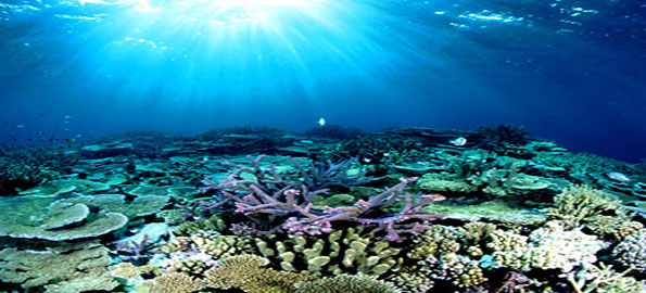 The-Great-Barrier-Reef,-Aus