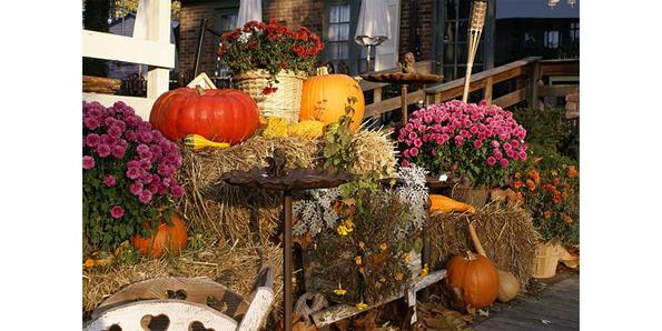 Autumn decoration house