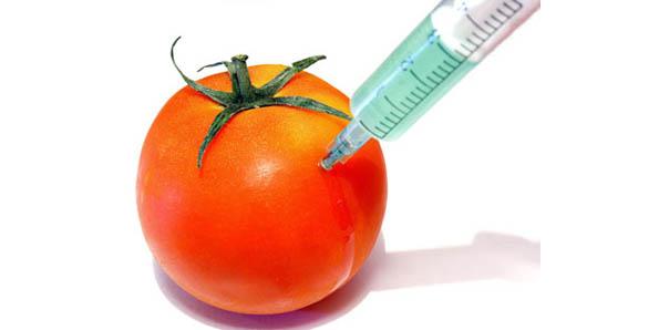 Genetically modified foods