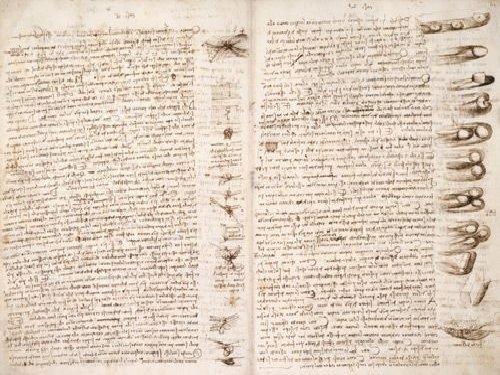 Leonardo DaVinci Manuscript