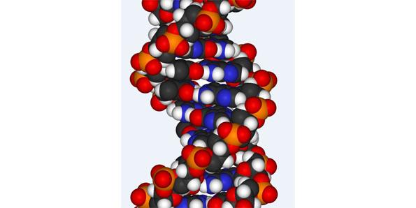 Organic DNA