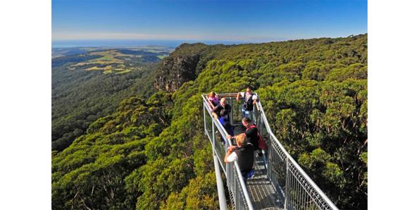 Illawarra Fly Tree Top Walk in Australia