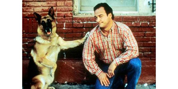The ending to the movie K-9 happened two years later
