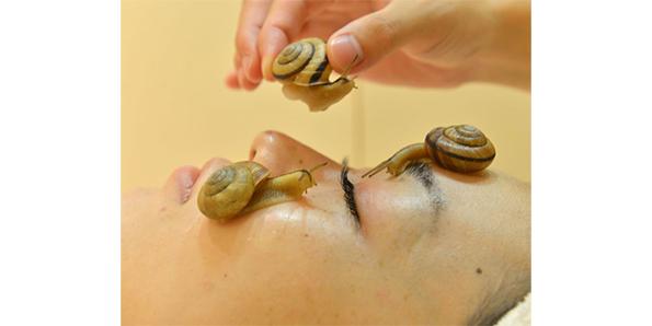 Snail massage