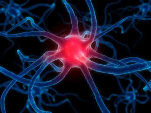 brain-celljpg-300x225.jpg