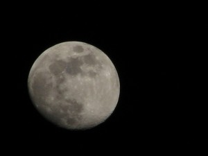 dark-side-moon-300x225.jpg