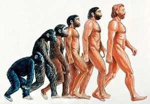 evolution-300x208.jpg